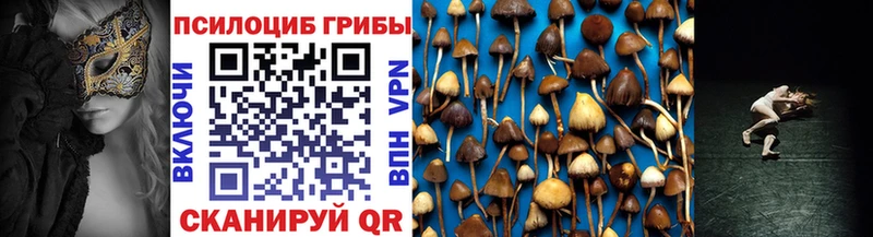 Псилоцибиновые грибы Psilocybine cubensis  Ессентукская 